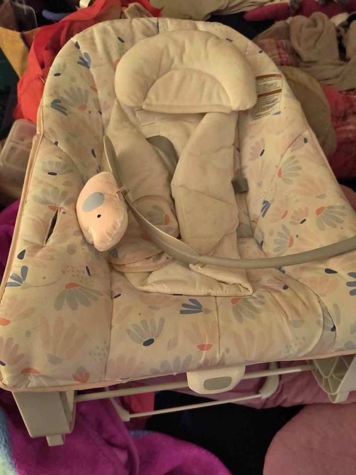 Baby bouncer