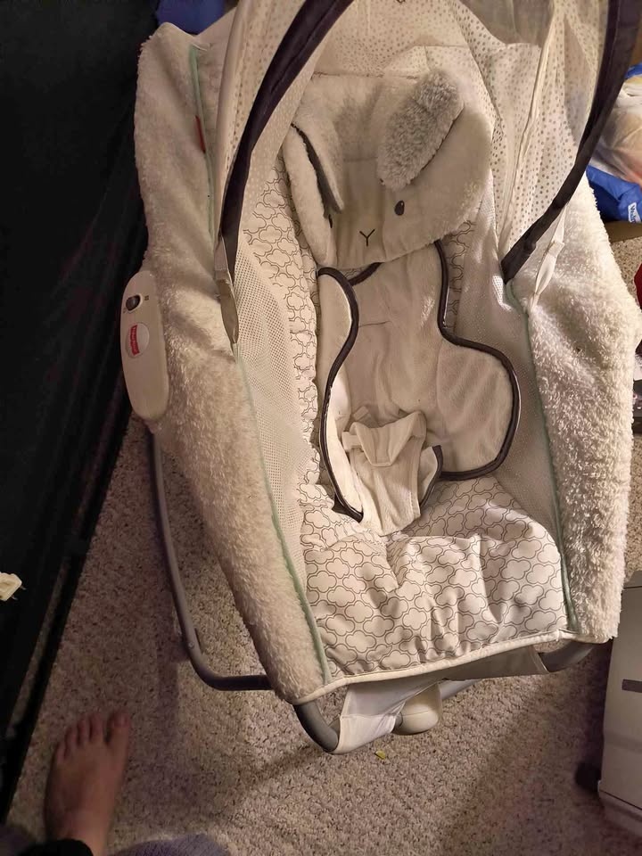 Baby rocker