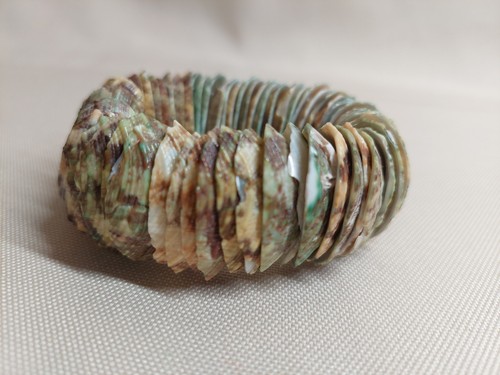 Natural Shell Stretch Bracelet – Green Brown Shell Discs – Beach