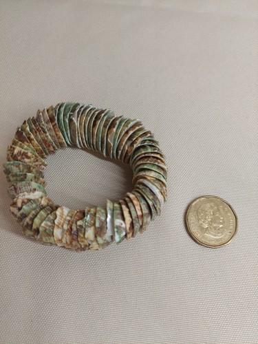 Natural Shell Stretch Bracelet – Green Brown Shell Discs – Beach - photo 2