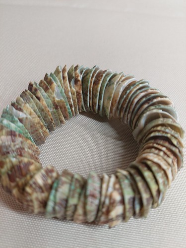 Natural Shell Stretch Bracelet – Green Brown Shell Discs – Beach - photo 3