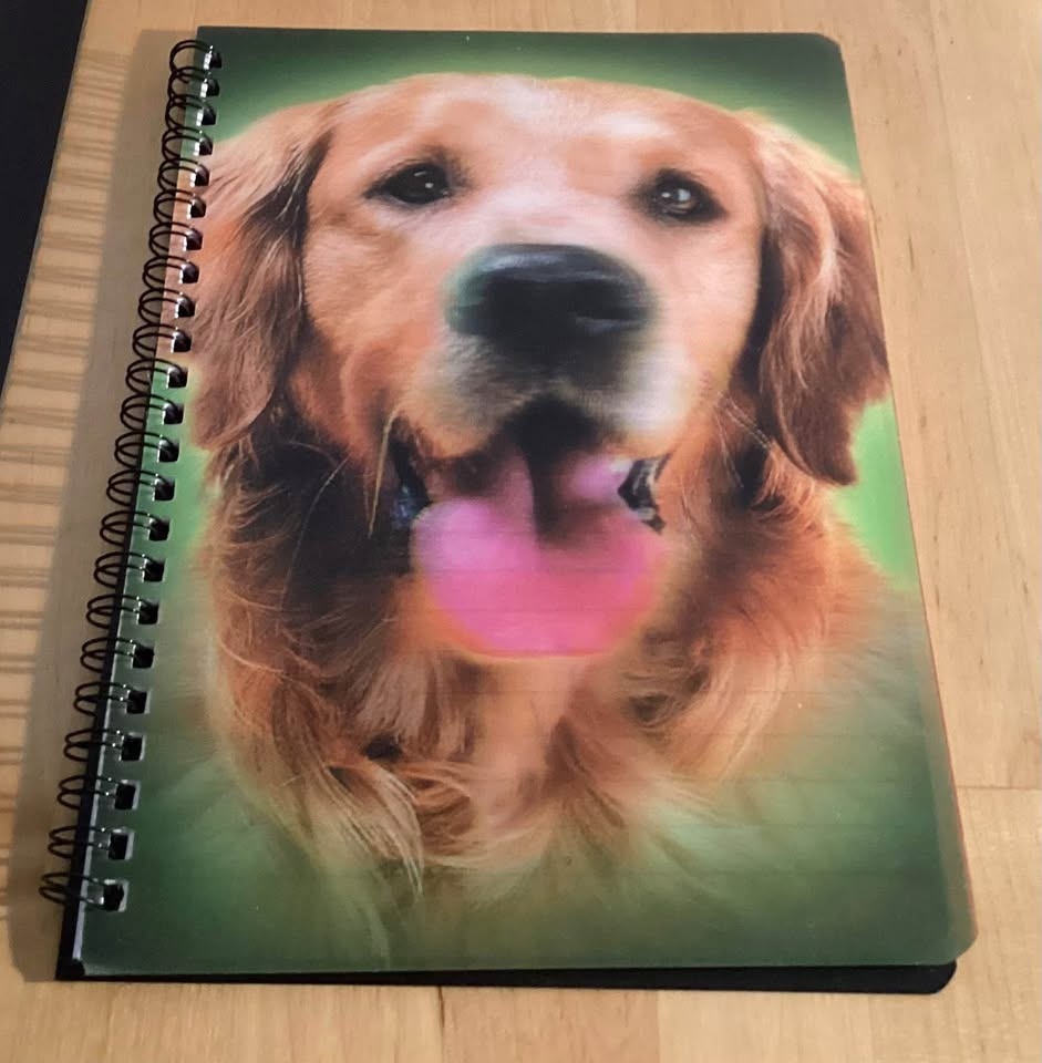 Notebooks - photo 2