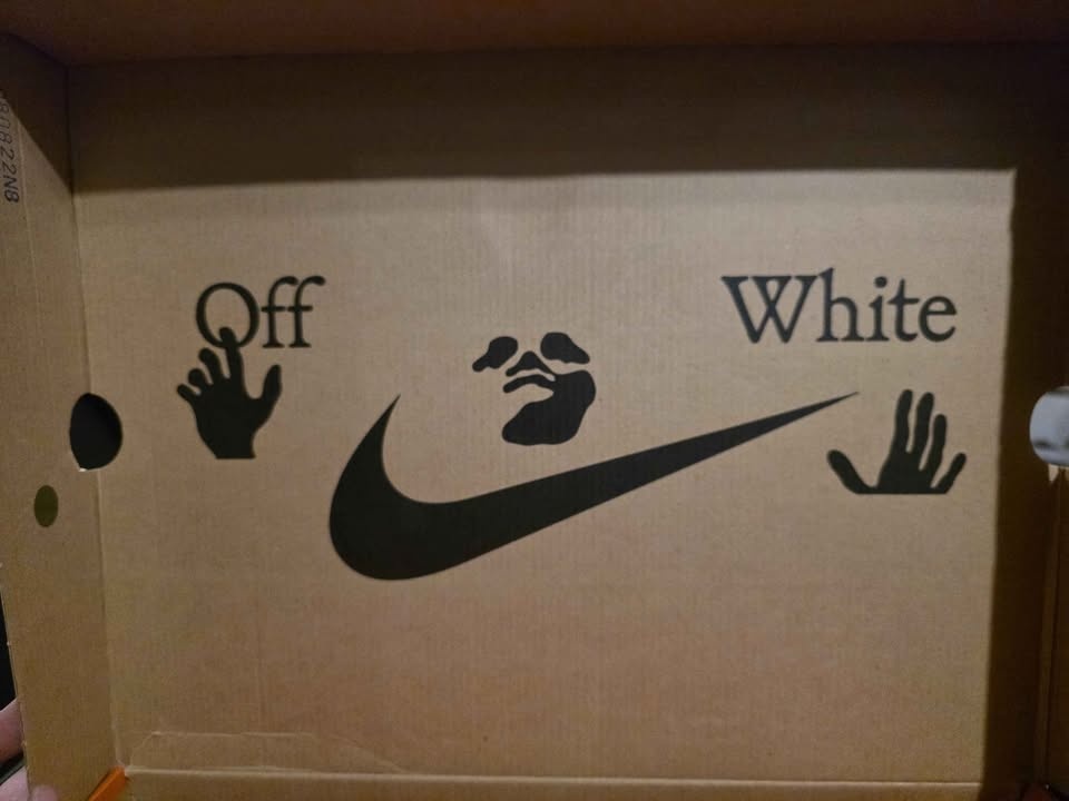 NIKE AIR TERRA FORMA X OFF WHITE - photo 4