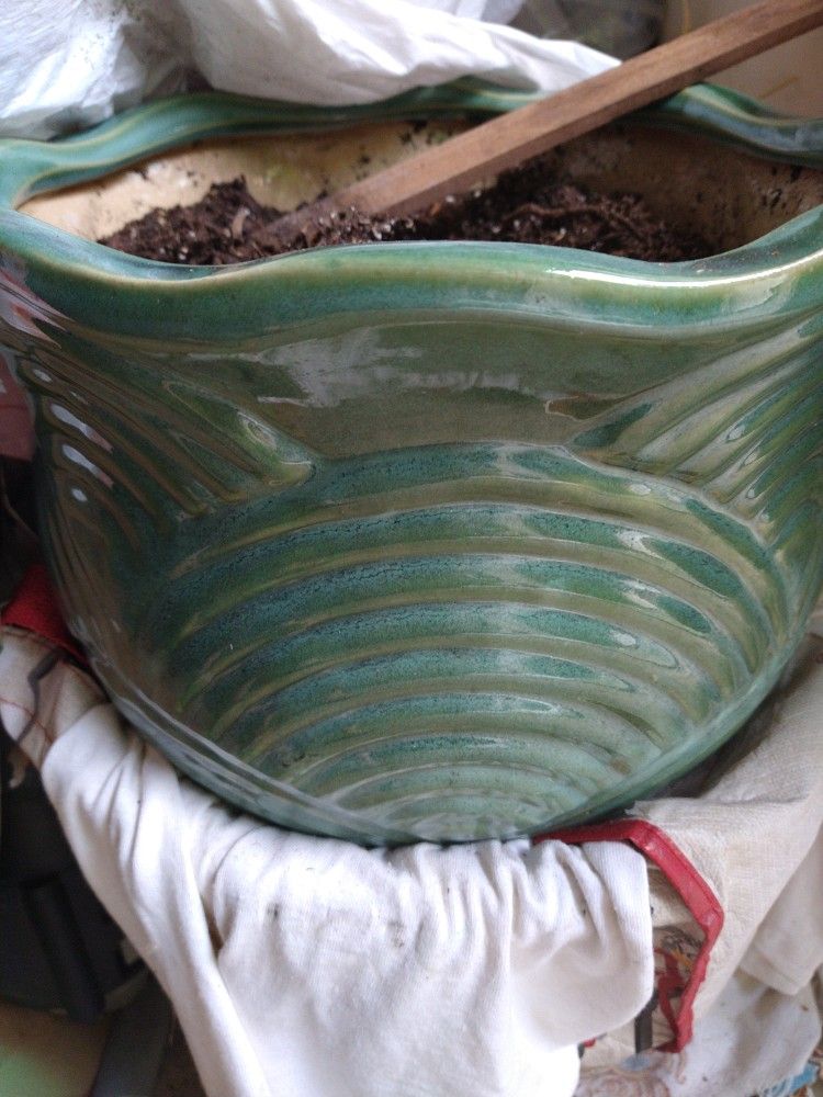 Large Ceramic Planter for Trees