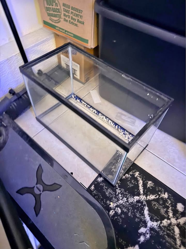 Fish tank