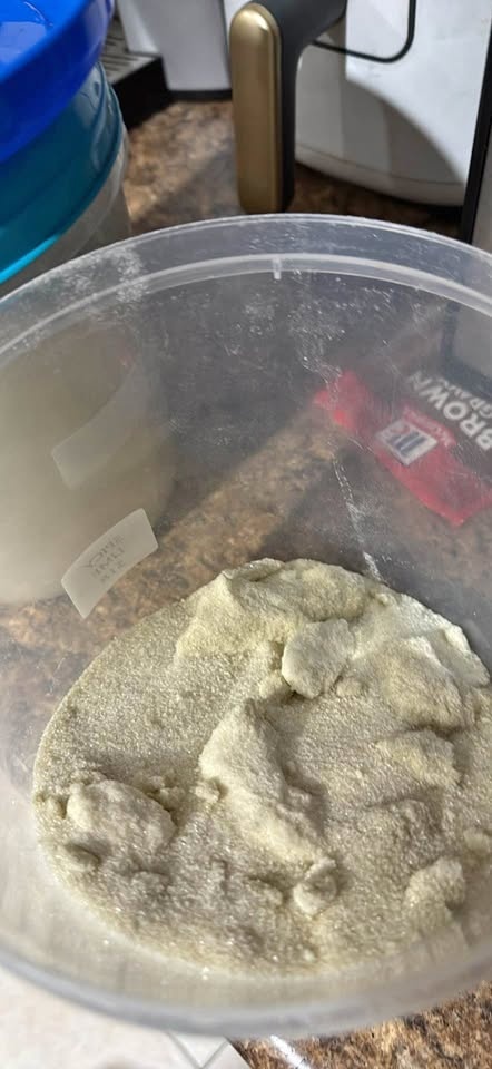 Infused sugar & coconut oil