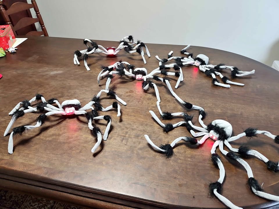 24 Inch Gray and Black Poseable Halloween Spiders