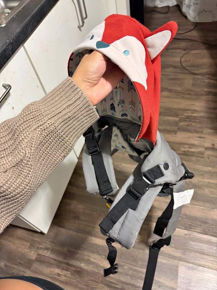 Baby hoodie carrier