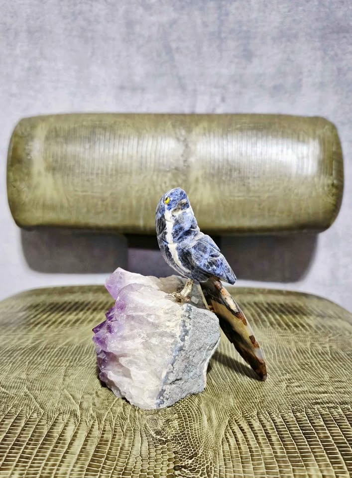 Hand Carved Sodalite Bird On Amethyst $140