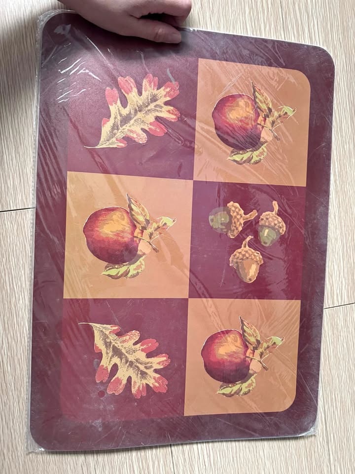 2 pack placemats, 13x18”