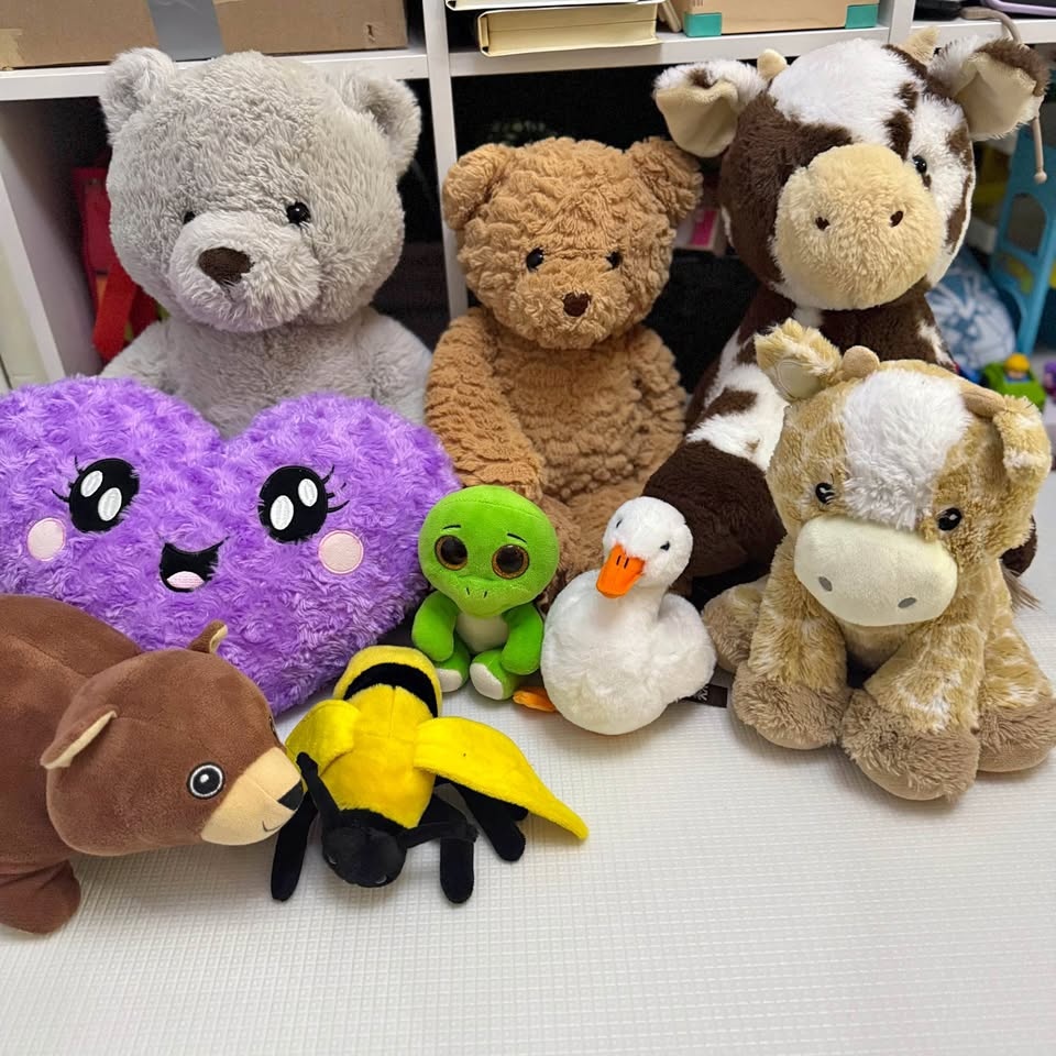 Stuffed Animals / Plush Toys – Lot (Disney + Bears + Squishy)