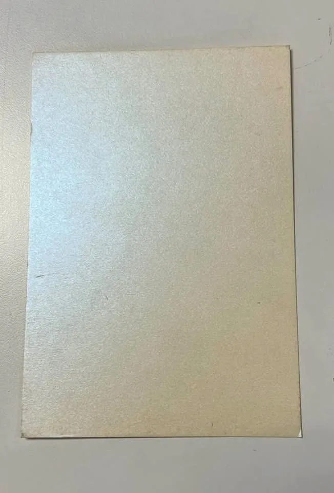 Metallics Cardstock Inserts thumbnail