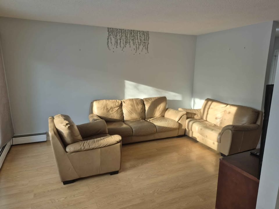 2 Beds 1 Bath - Apartment - photo 4