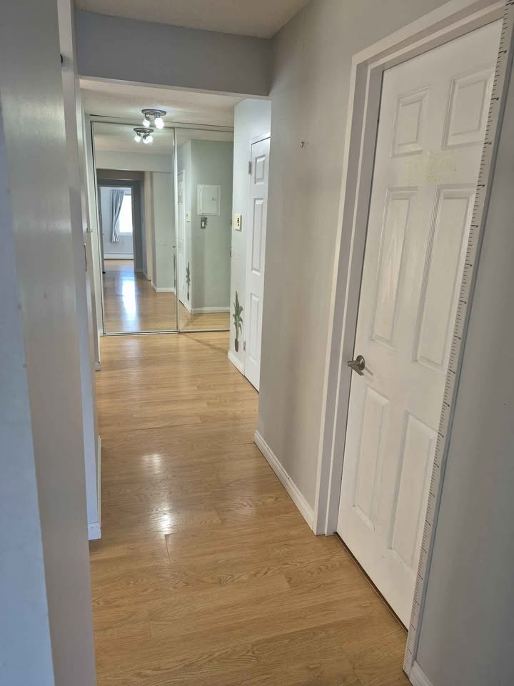 2 Beds 1 Bath - Apartment - photo 5