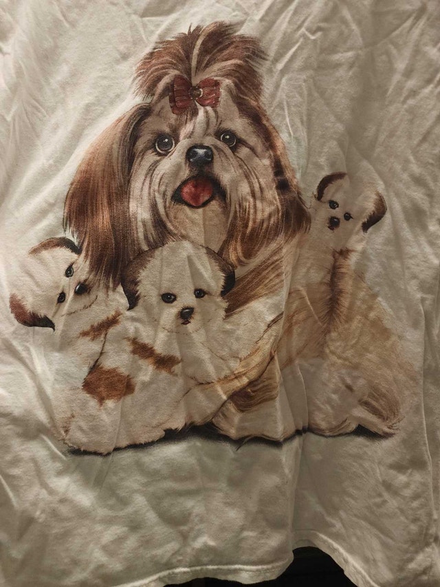 Idol Dog T-Shirt 🧡 - photo 2