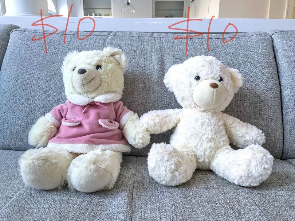 Stuffed Toys (turtle, bear, unico)