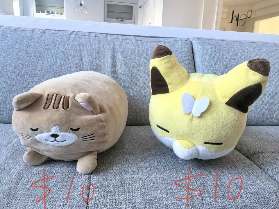 Stuffed Toys (Pikachu, long cat)