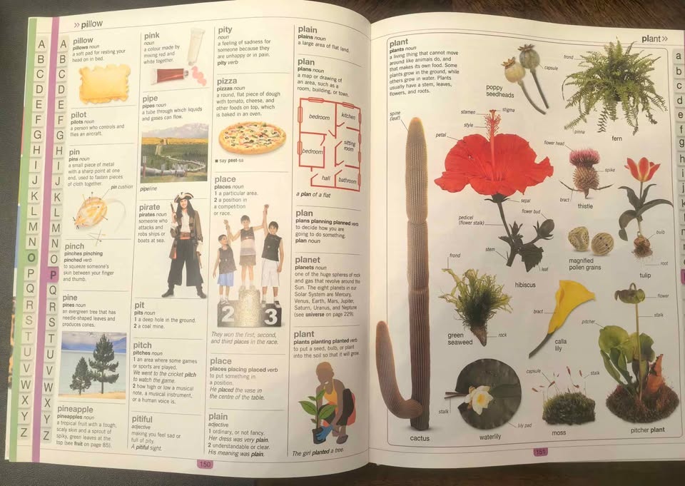 DK Children's Illustrated Dictionary - photo 5