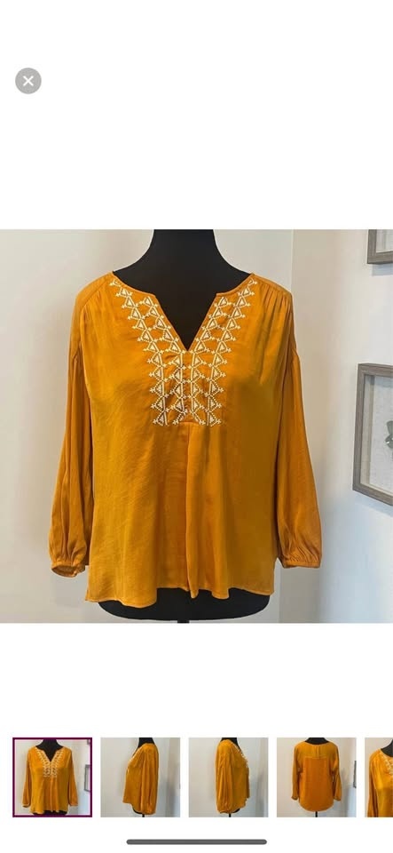 Never Worn! Anthropologie Dolan Embroidered Blouse Size Small