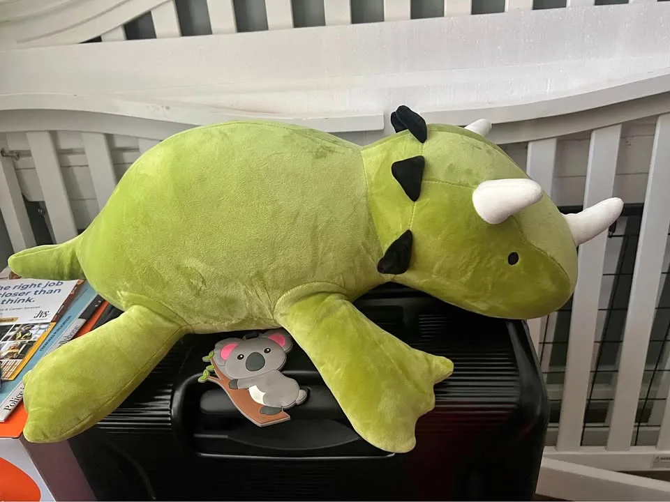 Dino soft plush toy thumbnail