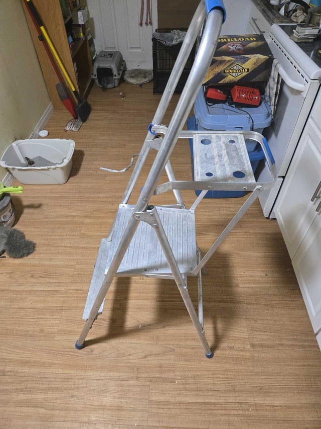 Reynolds Ladder - photo 3