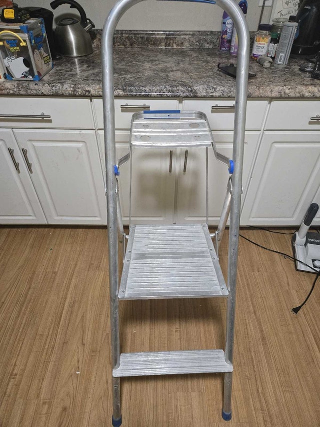 Reynolds Ladder - photo 4