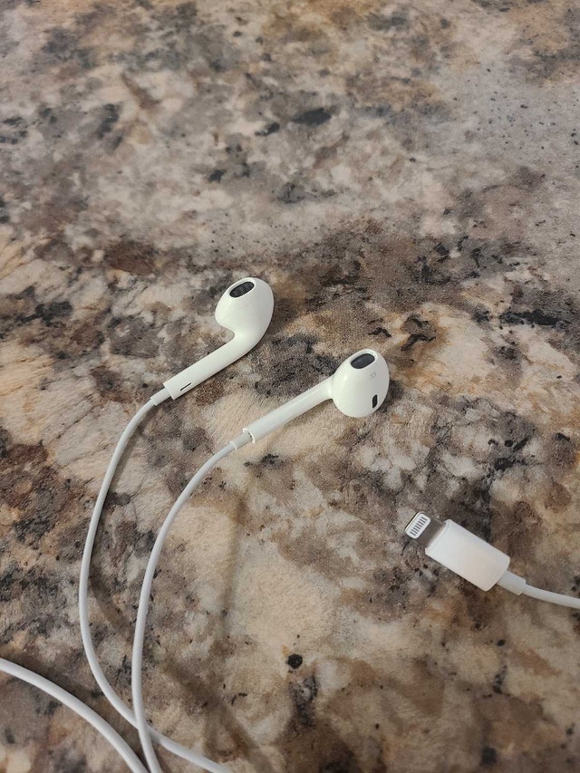 Apple EarPods