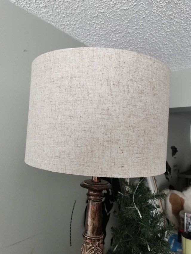 JONATHAN Y Carlisle Resin/Acrylic Table Lamp - photo 3