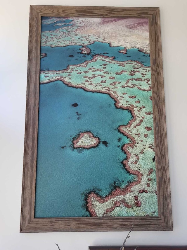 Framed Coral Reef Photo mid size