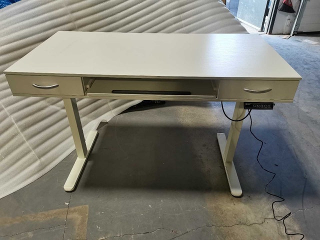 Electric Sit Stand Desk