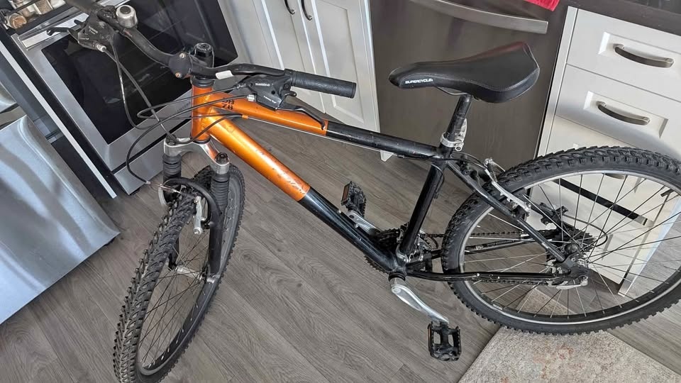 DiamondBack Mountain Bike