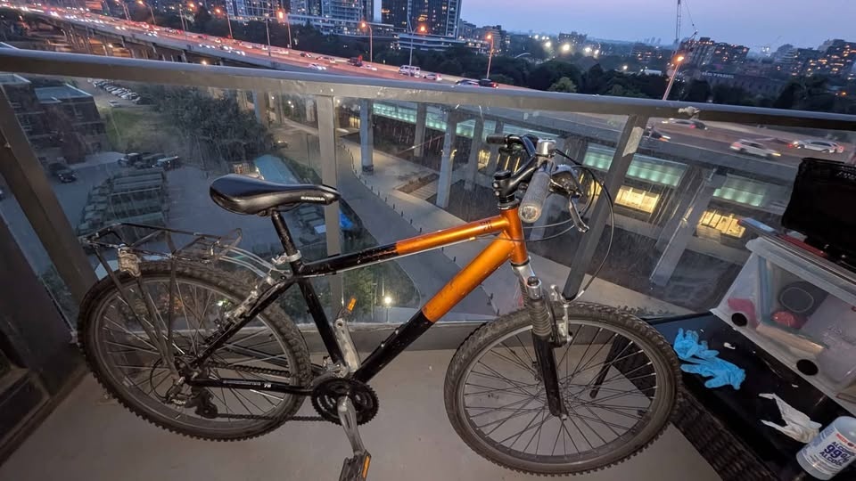 DiamondBack Mountain Bike - photo 5