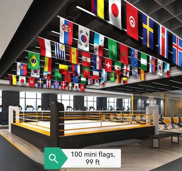 100 Mini International Flags