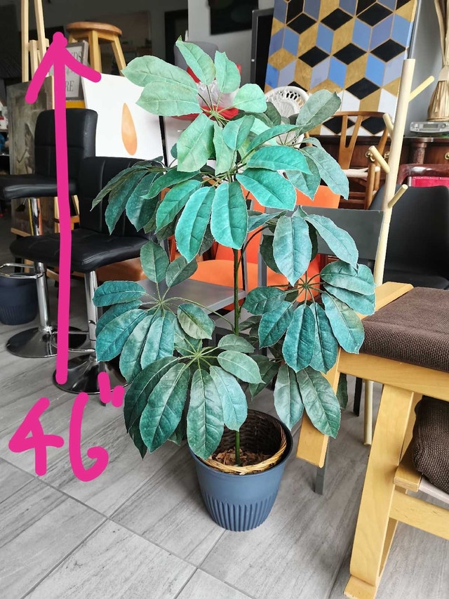 46" tall artificial tree Schefflera