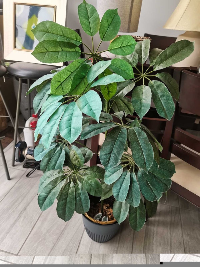 46" tall artificial tree Schefflera - photo 2
