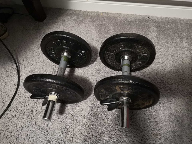 Dumbbells,4 of 10lbs, with 4 clips