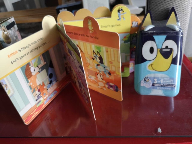 Bluey Book and Shampoo brand new