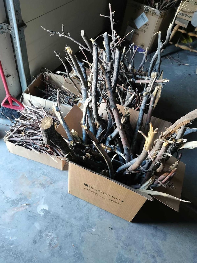 Branches camp fire right away