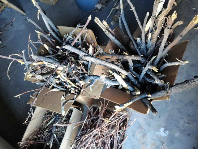 Branches camp fire right away - photo 2