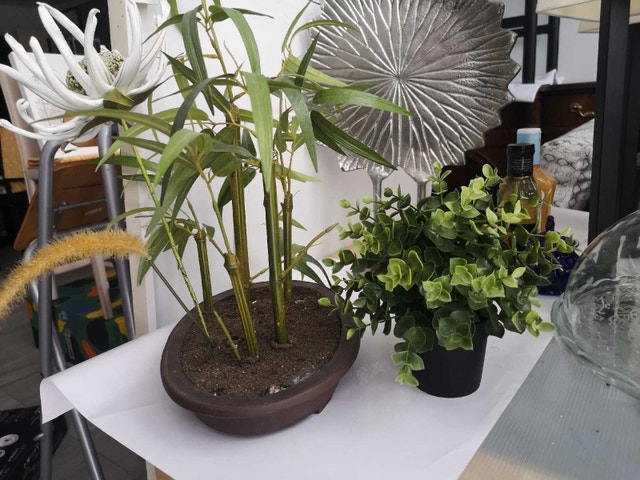 Potted Bamboo Arrangement and Euclyptus green