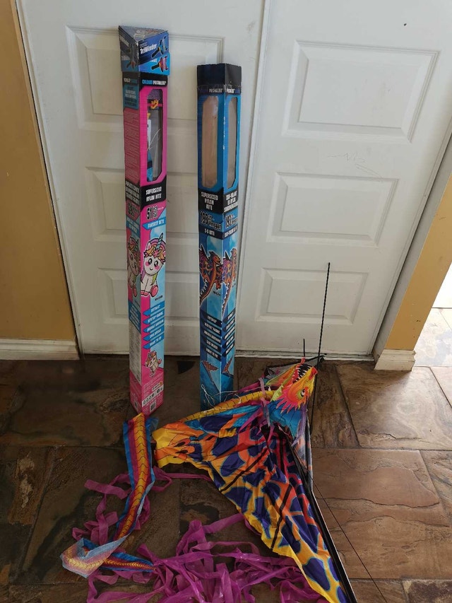 Prism Kites 2 extra large and one small toy kite