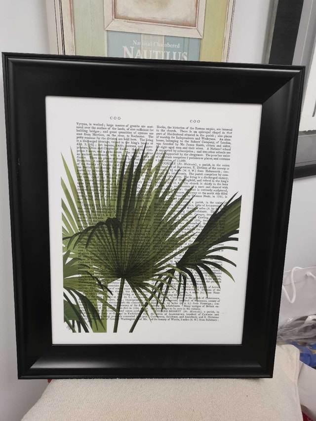 Framed Palm Print