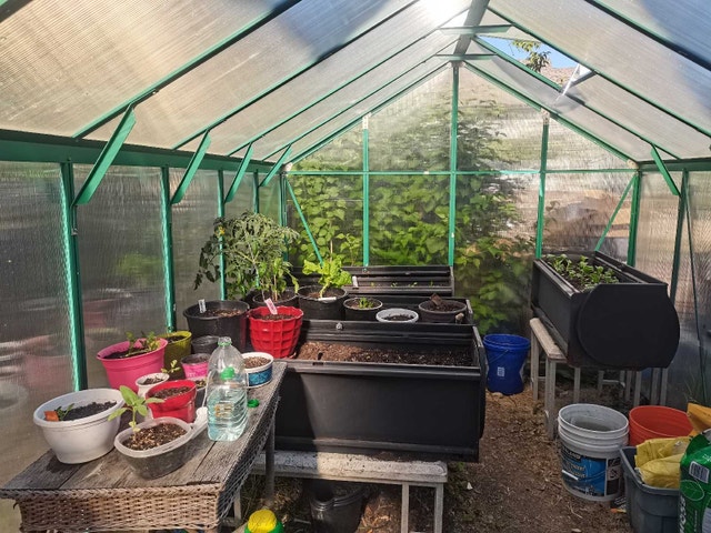 large Greenhouse polycarbonate sheets all aroumd - photo 3
