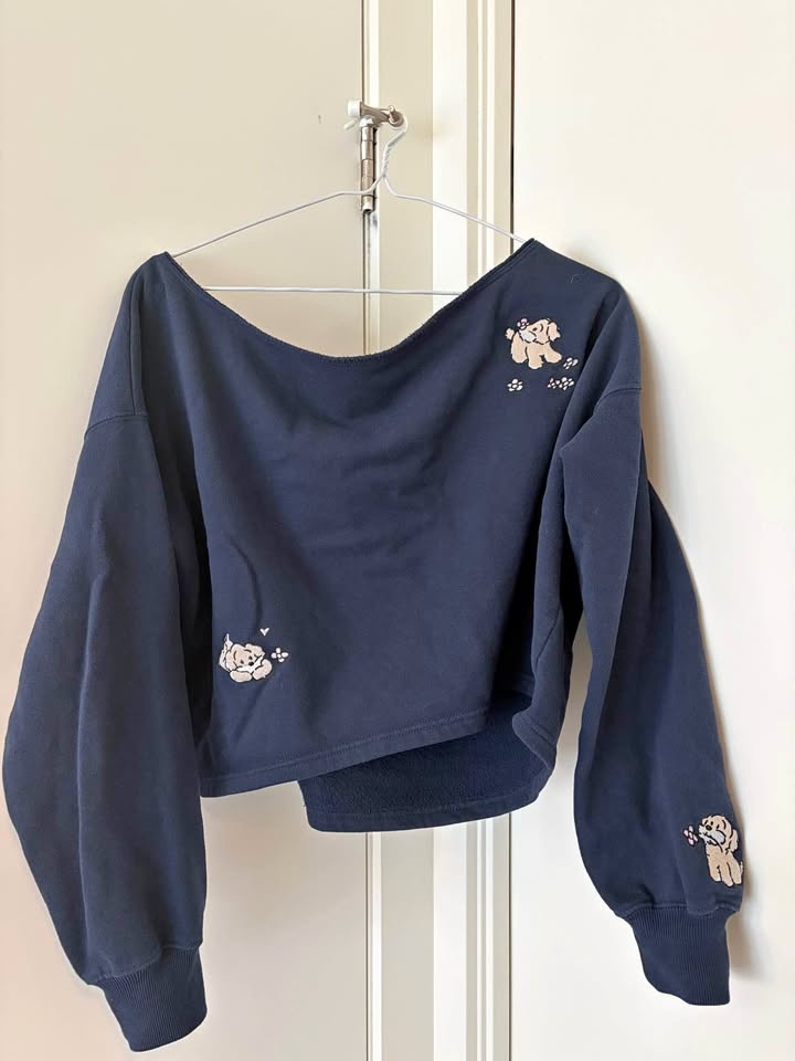 Hollister SweatShirt
