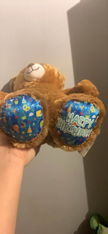 Build-A-Bear brown teddy bear with Happy Birthday feet - photo 2