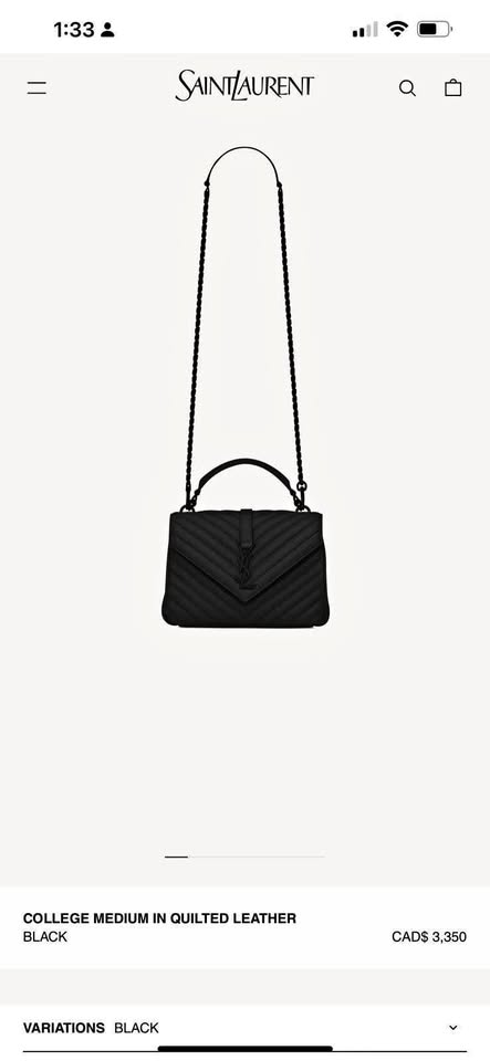 YsL Bag
