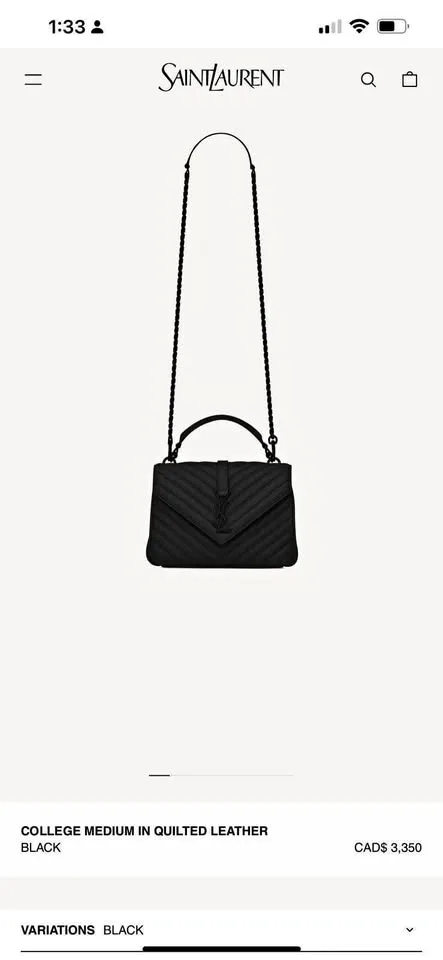 YsL Bag thumbnail