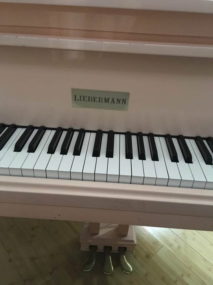 Liebermann Baby Grand Piano with Storage Bench - photo 4