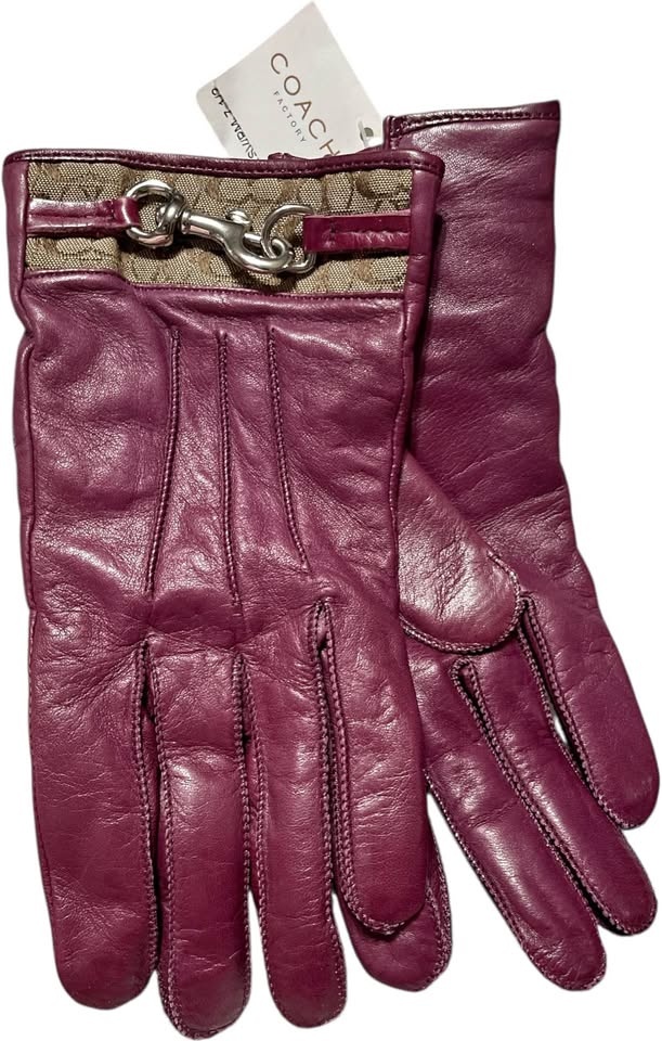 Coach Winter Gloves