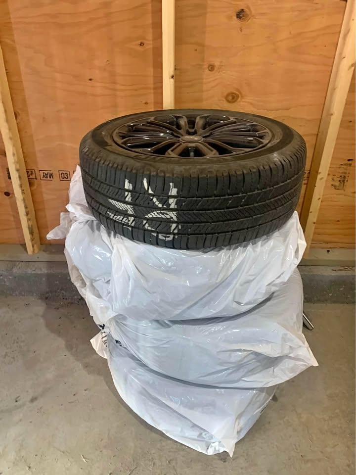 Michelin Defender 2 Tires with RTX OEM Rims